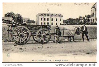 Bizanos   ( identifiée a: ):       64       Attelage béarnais   (voir scan)