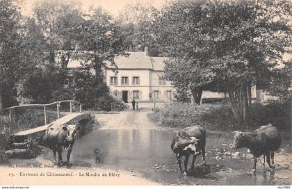 Le Moulin de BLEVY (Eure et Loir) - Environs de Châteauneuf - Vaches