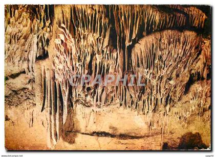CPM Les Grottes d'Arcy sur Cure (Yinne) Les Draperies