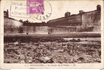 CPA Bois De Cise La Coupee de la Falaise