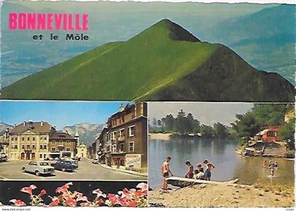 CPSM Bonneville et le sommet du Môle