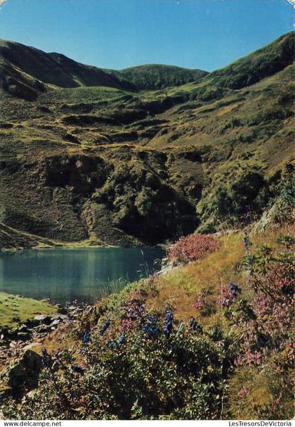 [-10%] FRANCE - Bordères Louron - Lac de Bordères  - Vallée de Bareille - vallée du Louron - obli 1983 - Carte postale