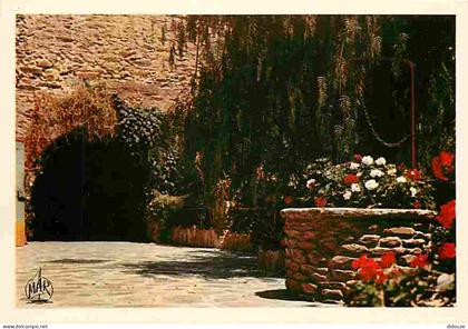83 - Bormes les Mimosas - Le petit Cantoun - Fleurs - CPM - Voir Scans Recto-Verso