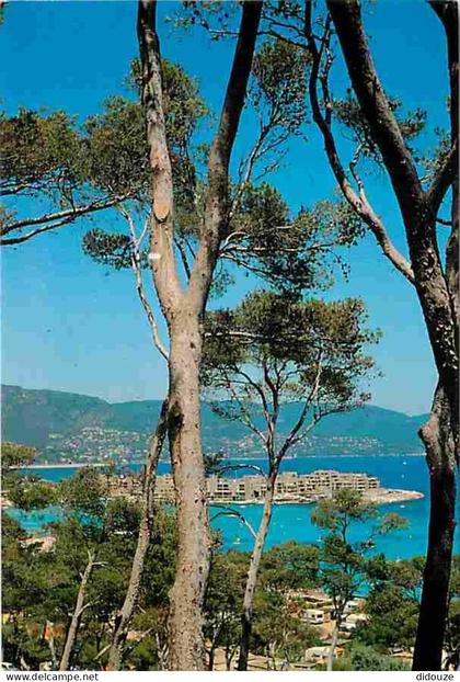 83 - Bormes les Mimosas - Le Port de la Favière - CPM - Voir Scans Recto-Verso