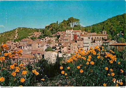 83 - Bormes les Mimosas - Vue Générale - Fleurs - CPM - Voir Scans Recto-Verso
