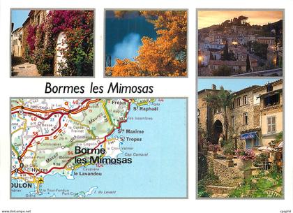CPM Bormes les Mimosas (Var)