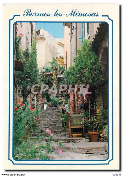 CPM French Riviera Bormes les Mimosas Var