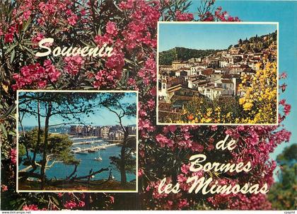 CPM Souvenir de Bormes les Mimosas
