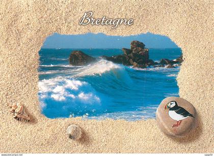 CPM Bretagne Oiseau