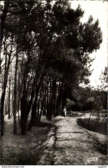 Bretignolles sur Mer - La Foret des Dunes - CPA