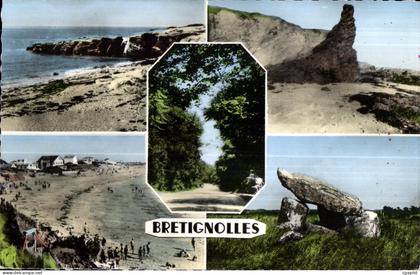 CPSM Bretignolles Sur Mer La Sauzaie Sainte Veronique