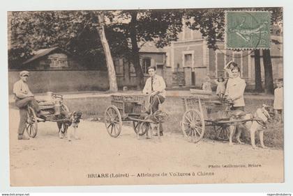 CPA - 45 - BRIARE (Loiret) - Attelages de Voitures à Chiens - voy en 1924 - Photo Guillemeau à Briare