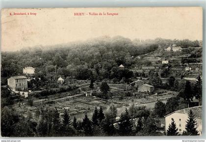 39478345 - Briey