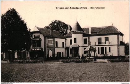 CPA  Carte Postale France  Brinon-sur-Sauldre  Bois de Chaumont   VM105684ok