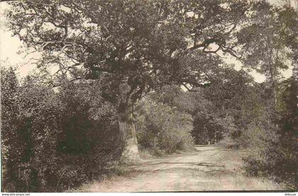 91 - Brunoy - En Forêt - CPA - Voir Scans Recto-Verso