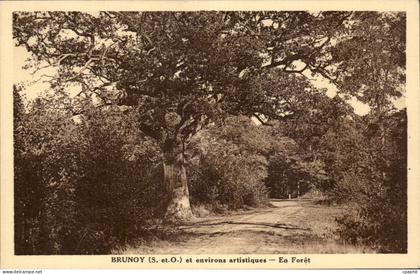 Brunoy - en Foret - environs artistiques - CPA
