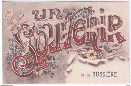 87 - HAUTE VIENNE  - BUSSIERE POITEVINE - UN SOUVENIR - DE LA BUSSIERE