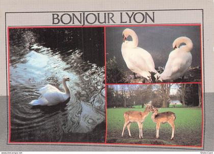 69 CALUIRE ET CUIRE PARC DE LA TETE D OR