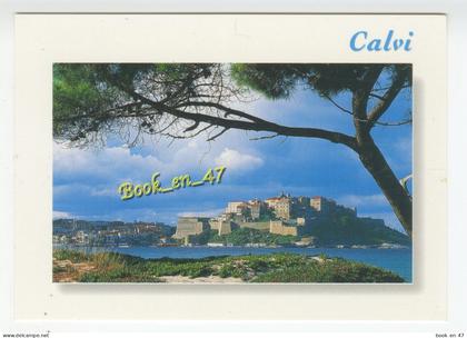 {91698} 20 2B Haute Corse Calvi , vue générale