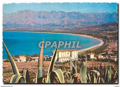 CPM Calvi La Plage et le fond du Golfe