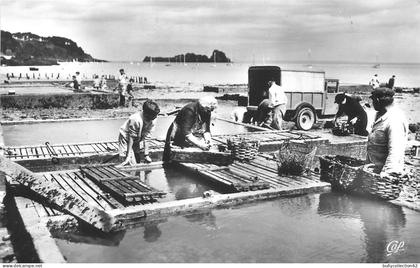 CPA Cancale  35/15