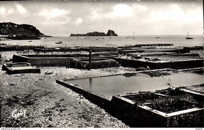 CPA Cancale Les Parcs aux huîtres Et Le Rocher De Cancale