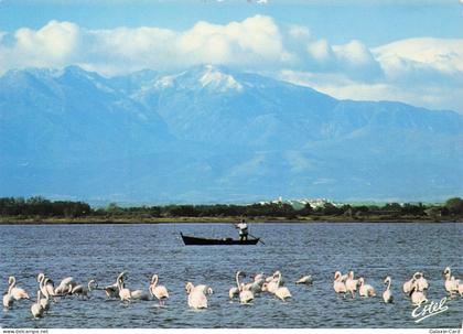 66 CANET EN ROUSSILLON CANET PLAGE