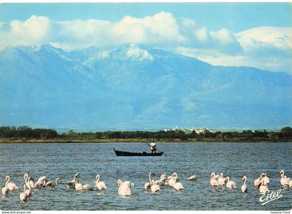 66 CANET EN ROUSSILLON CANET PLAGE