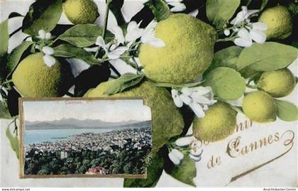 55094845 - Cannes