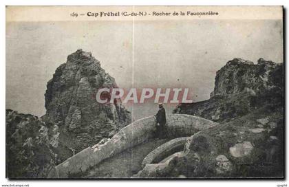 CPA Cap Frehel Rocher de la Fauconniere
