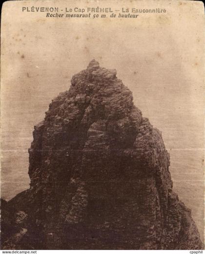 CPA Plevenon Le Cap Frehel La Fauconniere