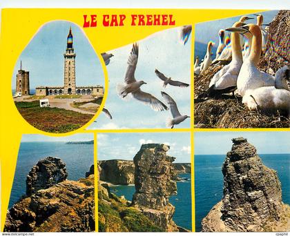 CPM Le Cap Frehel Reserve d'Oiseaux de mer
