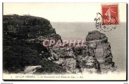 le Cap Frehel - La fauconiere et la Pointe du cap - CPA