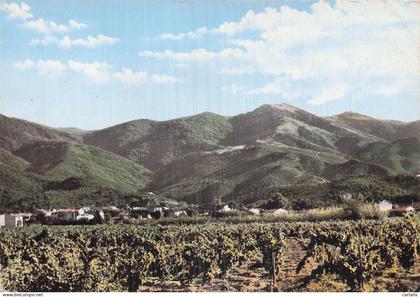 11-CAPENDU-CAPENDU-N°7007-A/0275