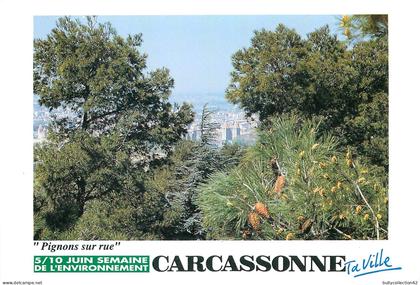 CPSM Carcassonne  11/18