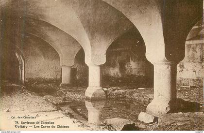 CPA Environs de Carentan Coigny Les Caves du Chateau