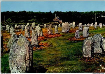 40146986 - Carnac