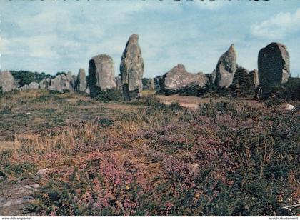 Carnac (Bret.) Les alignements du Carnac ngl #E0611