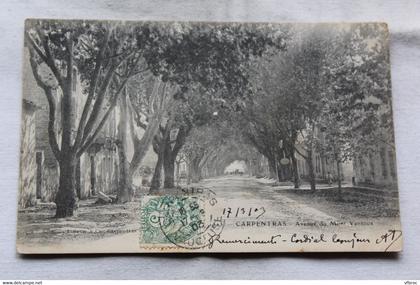 Cpa 1903, Carpentras, avenue du mont Ventoux, Vaucluse 84