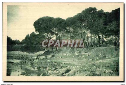 Carqueiranne - Les Pins - CPA