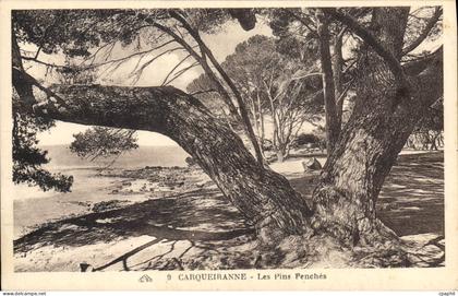 CPA Carqueiranne Les Pins Penches