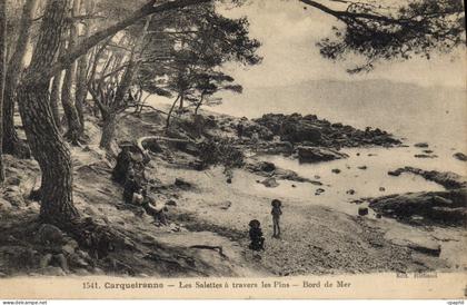 CPA Carqueiranne Les Salettes a travers les Pins Bors de Mer