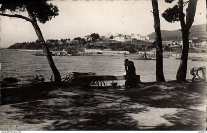 CPM Carqueiranne Promenade Des Pins Penches