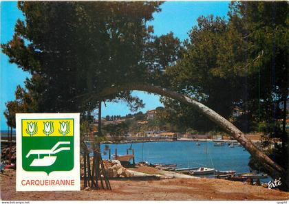CPM Cote d'Azur Carqueiranne Le Port des Salettes vu des lameux