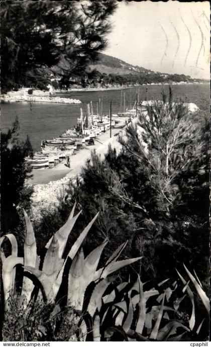 CPSM Carqueiranne Le Port des Salettes