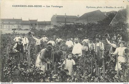 CARRIERES SUR SEINE - les vendanges.