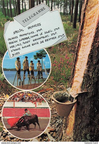 40 CASTETS VISAGE DES LANDES