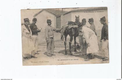 L'ARTILLERIE A CASTRES  UN PANSEMENT A UN CHEVAL (MILITAIRES) 1907