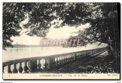 CPA Caudebec en Caux Vue sur la Seine