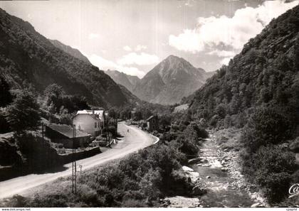 CPA Cauterets le Gave de Cauterets et la royte de Pierrefite